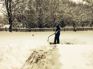 Mark clearing an area for King Toby, the Wonderpup!