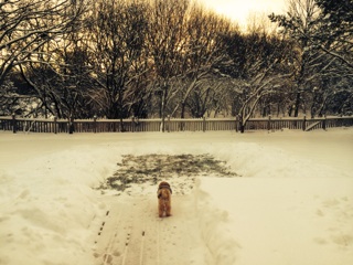 Toby reveling in his glorious potty / play area.