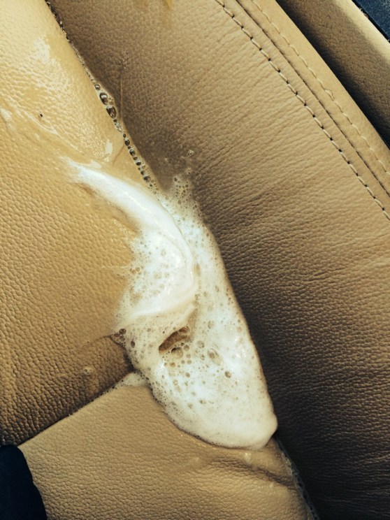 Nasty puppy slime barf.