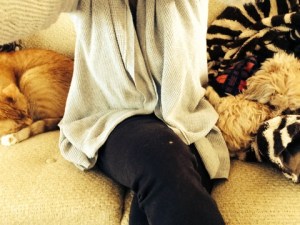 These guys are the best.