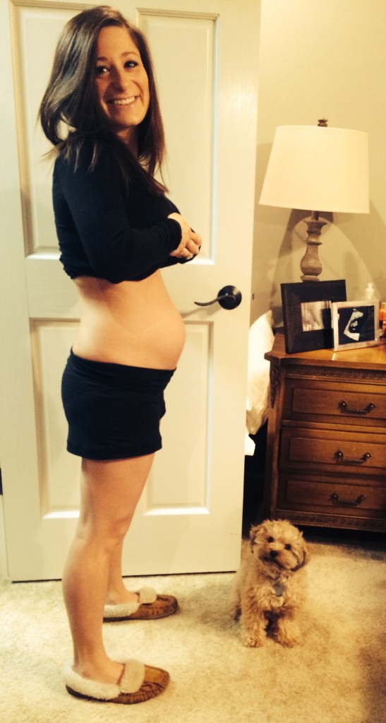 20 Weeks!! (February 7, 2014). We are now officially half way through the pregnancy and time really has just been flying! Only 140 days until we get to meet our sweet nugget. Also, yesterday marked the first day Papa Mark was able to feel the baby kick! Such milestones.