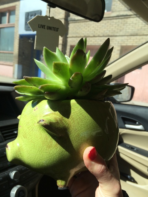 The cutest little piglet favor!