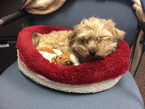 Don't talk to me! I'm resting...