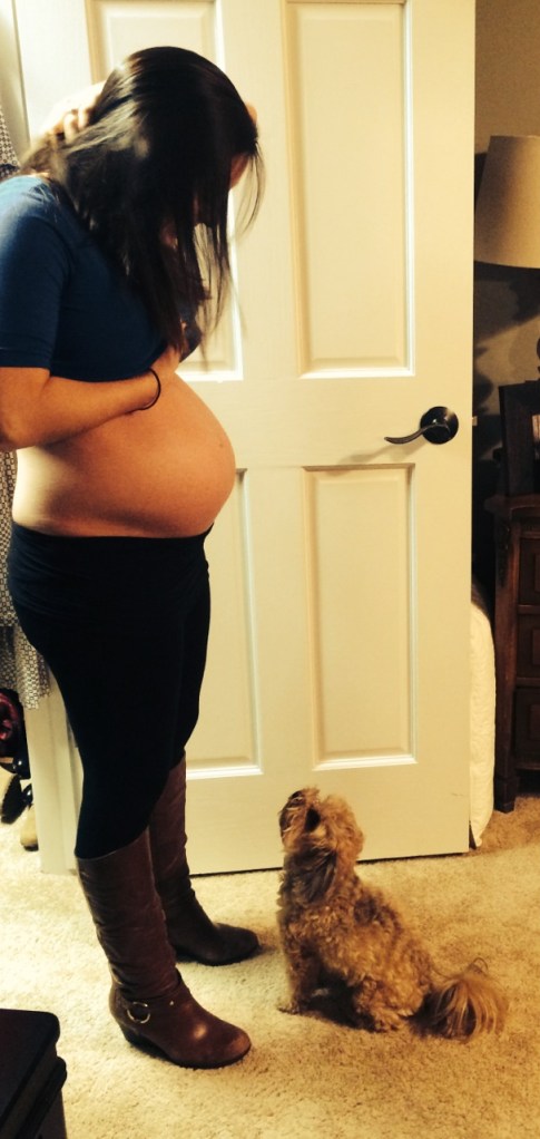 Toby came to say hello!