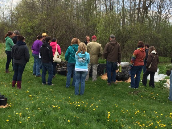 Checking out the seedlings and plant grafts.