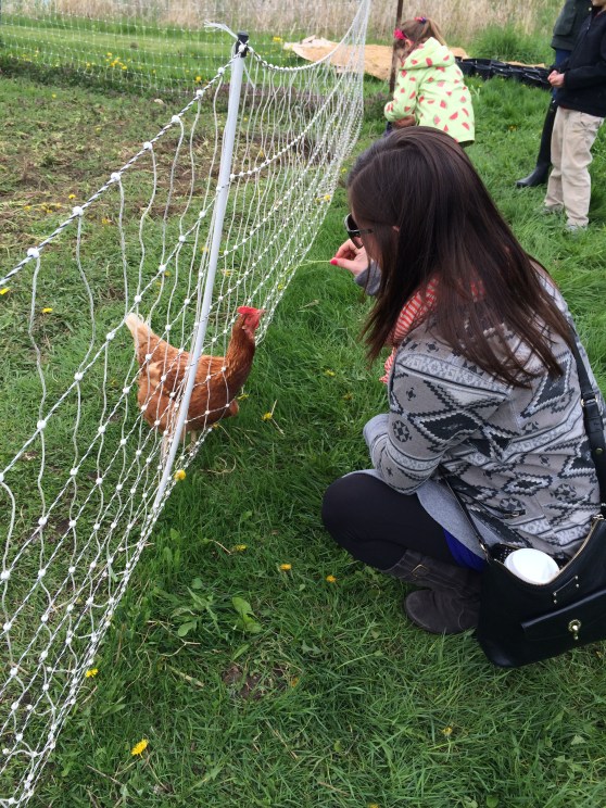 Have I ever mentioned that I LOVE roosters? Such weird and beautiful little creatures.