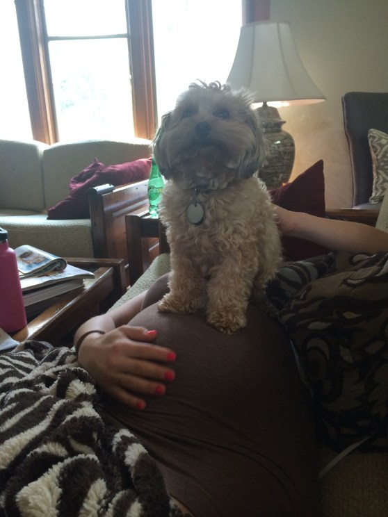 Toby keeping me company as I heated my back. He always climbs all over the baby...