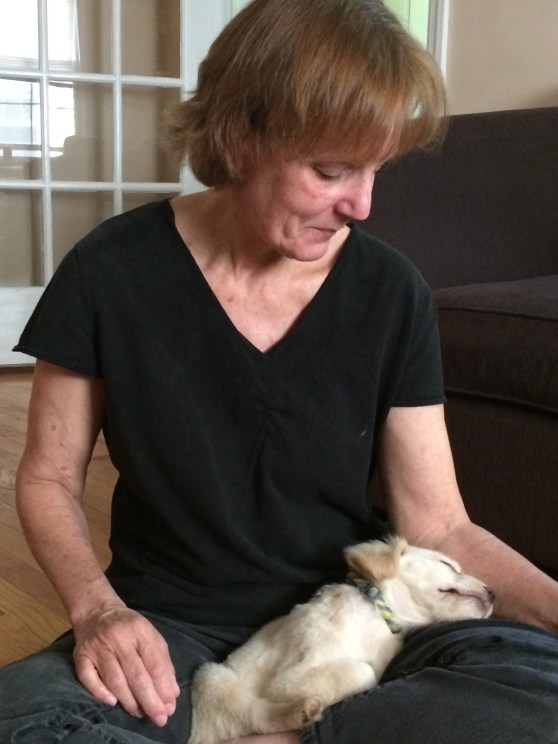 While I went to my Milly's (MIL's) for dinner and to meet her sweet little addition to the family. 