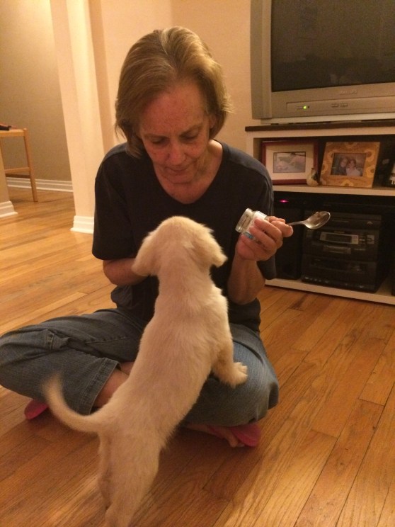 After the wedding, we stopped by Milly's to see this mini pupster!