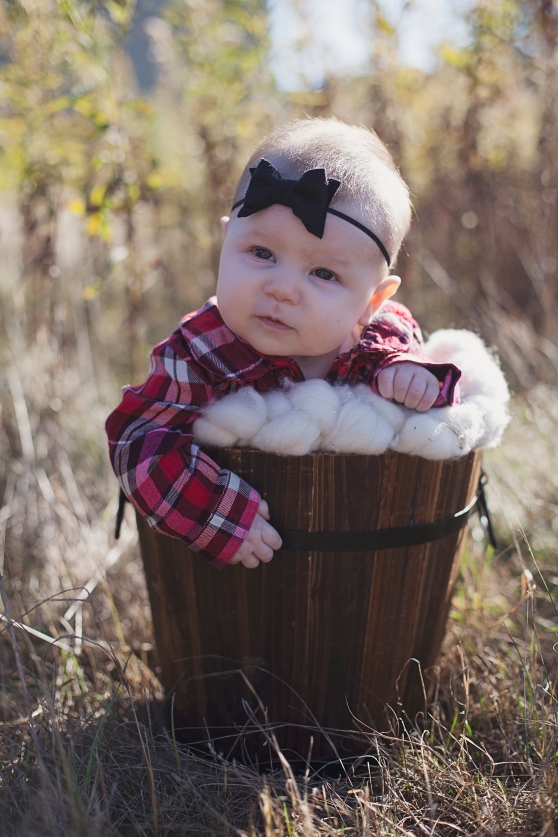 Baby in plaid in a bucket! AHH! Too much!